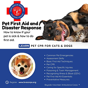 Pet First Aid and Disaster Response