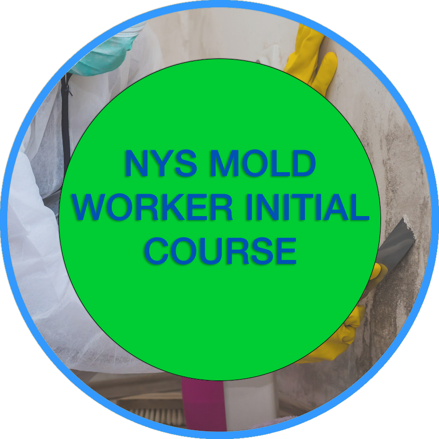NYS Mold Abatement Worker Initial (SPANISH)